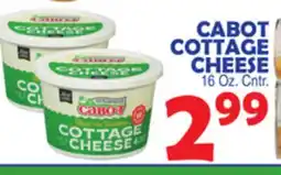 Bravo Supermarkets CABOT COTTAGE CHEESE offer