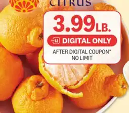 Kings Food Markets Sumo Citrus offer