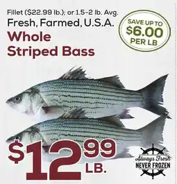 DeCicco & Sons Whole Striped Bass offer