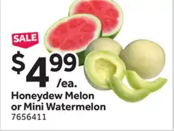 Stop&Shop Honeydew Melon or Mini Watermelon offer