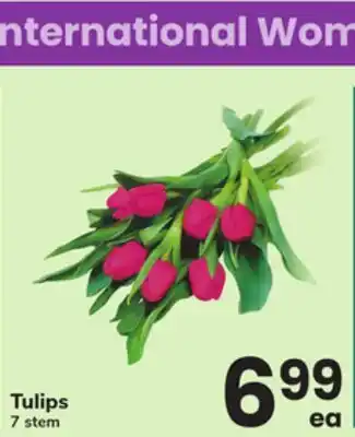 ACME Tulips offer