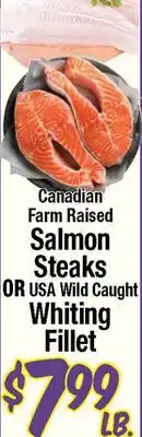Western Beef Canadian Farm Raised Salmon Steaks OR USA Wild Caught Whiting Fillet offer