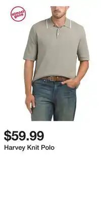 TJ Maxx Harvey Knit Polo offer