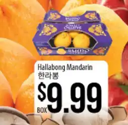 Hmart Hallaibong Mandarin offer