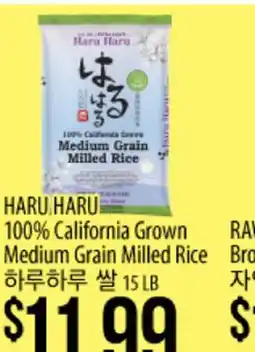 Hmart HARU HARU 100% California Grown Medium Grain Milled Rice offer