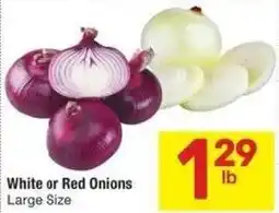 Albertsons White or Red Onions offer