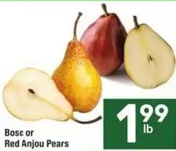 Albertsons Bosc or Red Anjou Pears offer