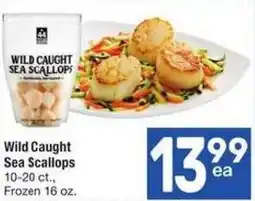 Albertsons Wild Caught Sea Scallops offer