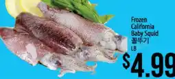 Hmart Frozen California Baby Squid offer