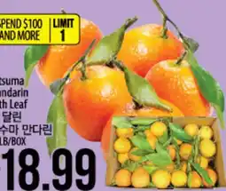 Hmart Kumquat Mandarine with Leaf offer