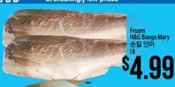 Hmart Frozen H&G Banga Mary offer