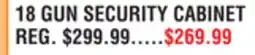 Dunham's Sports 18 GUN SECURITY CABINET offer