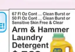 Food Universe Arm & Hammer Laundry Detergent offer