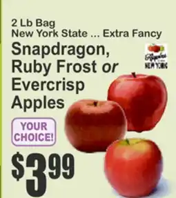 Food Universe 2 Lb Bag New York State ... Extra Fancy Snapdragon, Ruby Frost or Evercrisp Apples offer