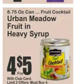 Food Universe Seedless Urban Meadow raisins, Fruit in Heavy Sy offer