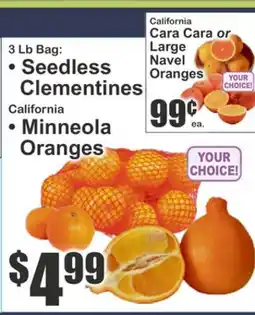 Food Universe 3 Lb Bag: Seedless Clementines Or Minneola Oranges offer