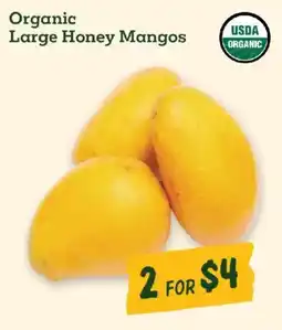 Sprouts Farmers Market Organic Large Honey Mangos offer