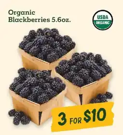 Sprouts Farmers Market Organic Blackberries offer