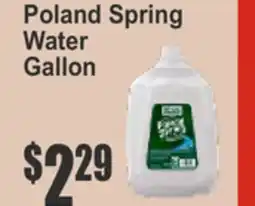 Key Food Poland Spring Water Gallon offer