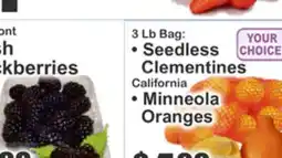 Key Food Seedless Clementines Minneola Oranges offer