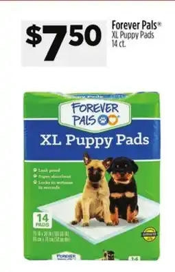 Dollar General Forever Pals XL Puppy Pads offer