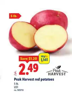 Lidl Peak Harvest red potatoes offer