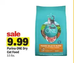 Meijer Purina ONE Dry Cat Food offer