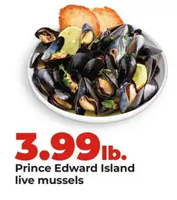 Hy-Vee Prince Edward Island live mussels offer