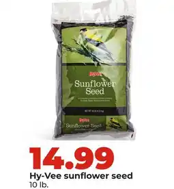 Hy-Vee Hy-Vee sunflower seed offer