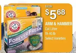 Commissary ARM & HAMMER Cat Litter offer
