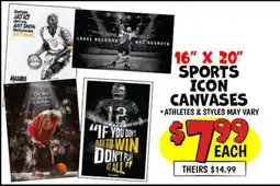 Ollie's 16 X 20 SPORTS NAMRA ICON CANVASES offer