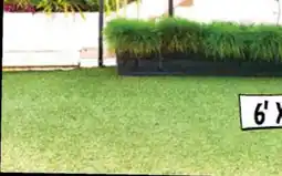 Ollie's ARTIFICIAL GRASS CARPET offer