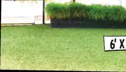 Ollie's 6' X 9' ARTIFICIAL GRASS CARPET offer