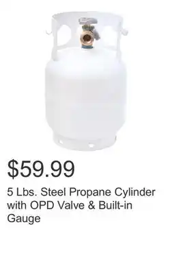 Costco 5 Lbs. Steel Propane Cylinder with OPD Valve & Built-in Gauge offer