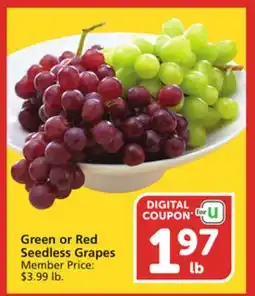 Albertsons Green or Red Seedless Grapes offer
