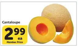 Albertsons Cantaloupe offer