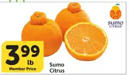 Albertsons Sumo Citrus offer