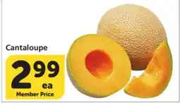 Vons Cantaloupe offer