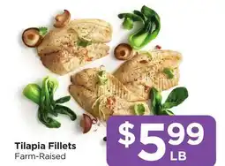 Food 4 Less Tilapia Fillets offer