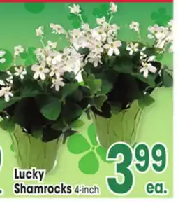 Jewel-Osco Lucky Shamrocks offer