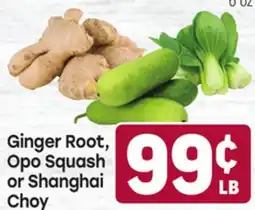 Tony’s Fresh Market Ginger Root, Opo Squash or Shanghai Choy offer
