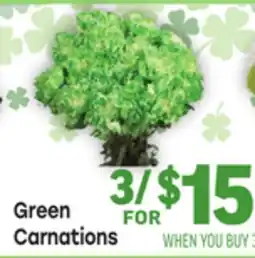 Tony’s Fresh Market Green Carnations offer