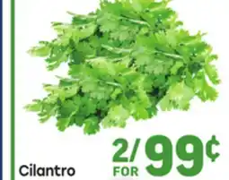 Tony’s Fresh Market Cilantro offer