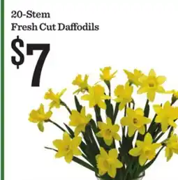 Mariano's 20-Stem Fresh Cut Daffodils offer