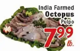 Rio Valley Market India Farmed Octopus offer