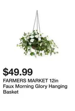 Marshalls FARMERS MARKET 12in Faux Morning Glory Hanging Basket offer