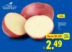 Lidl Red potatoes offer