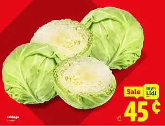 Lidl Cabbage offer