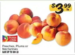 Winn Dixie Peaches, Plums or Nectarines offer