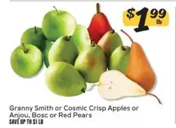 Winn Dixie Granny Smith or Cosmic Crisp Apples or Anjou, Bosc or Red Pears offer